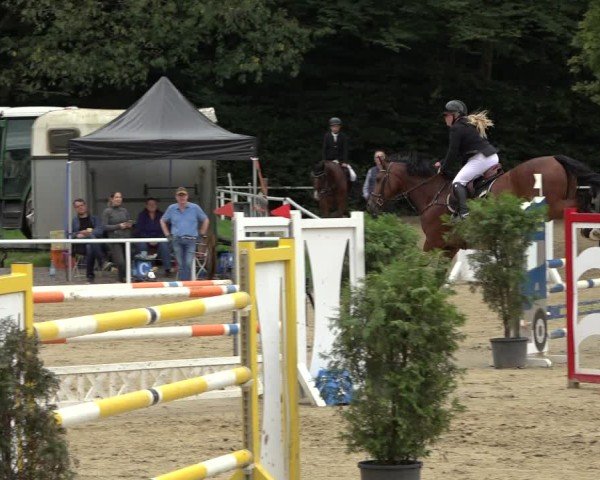 Reitturnier Dinslaken-Hiesfeld 2024