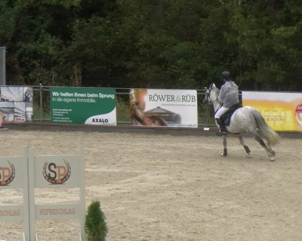 Reitturnier Maienfeld 2024