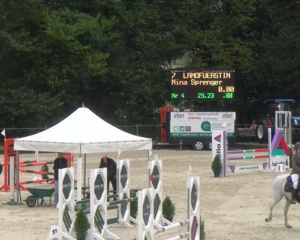 Reitturnier Maienfeld 2024