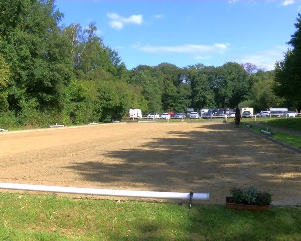 Reitturnier Dinslaken-Hiesfeld 2024