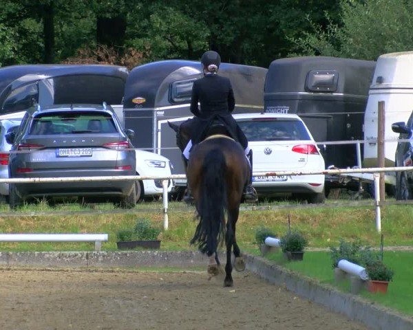 Reitturnier Dinslaken-Hiesfeld 2024