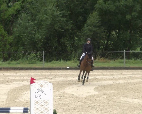 Reitturnier Maienfeld 2024