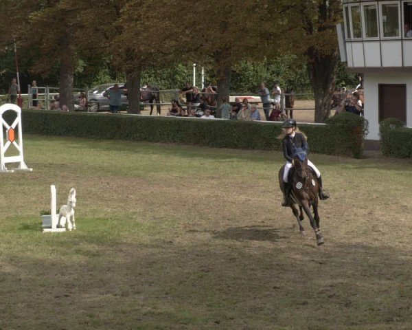 Reitturnier Westeregeln 2024