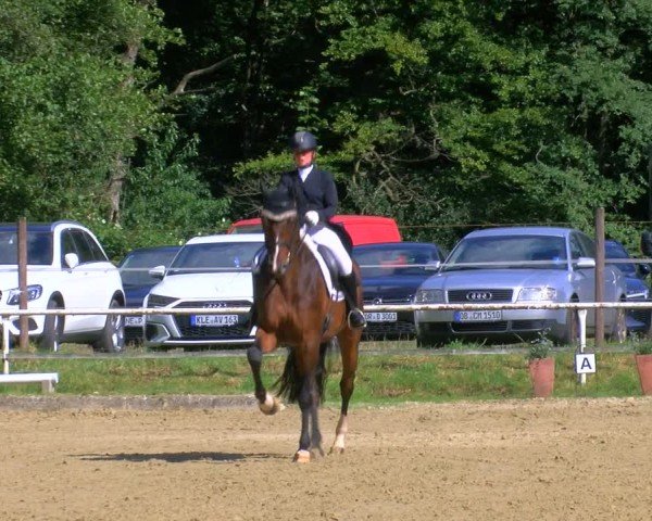 Reitturnier Dinslaken-Hiesfeld 2024
