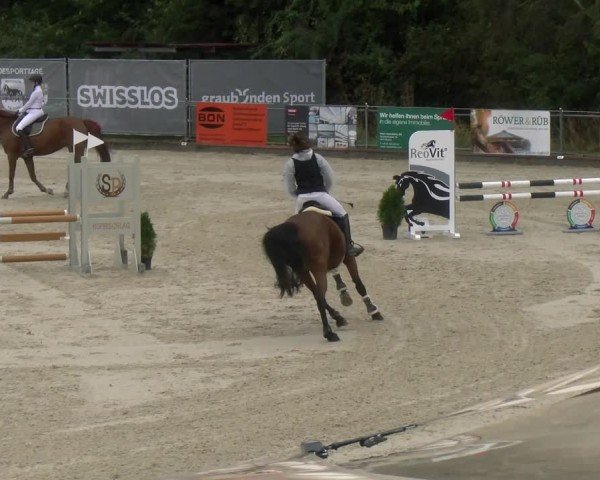 Reitturnier Maienfeld 2024