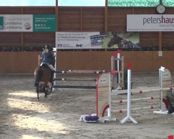 Springturnier Xanten - Reitanlage Miss 2021
