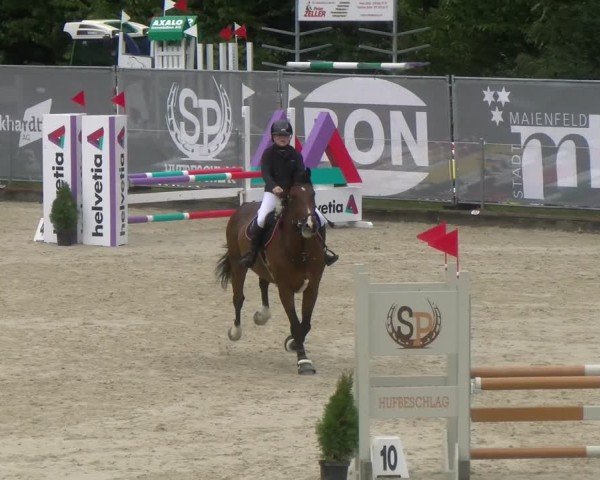 Reitturnier Maienfeld 2024