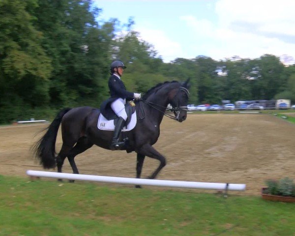 Reitturnier Dinslaken-Hiesfeld 2024