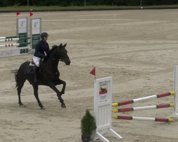 Reitturnier Maienfeld 2024