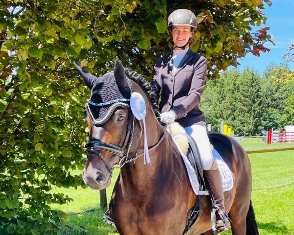 stallion Verano (Trakehner, 2017, from Ivanhoe)