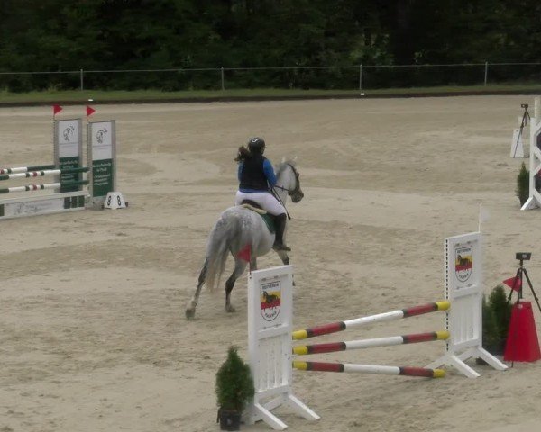 Reitturnier Maienfeld 2024