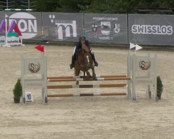 Reitturnier Maienfeld 2024