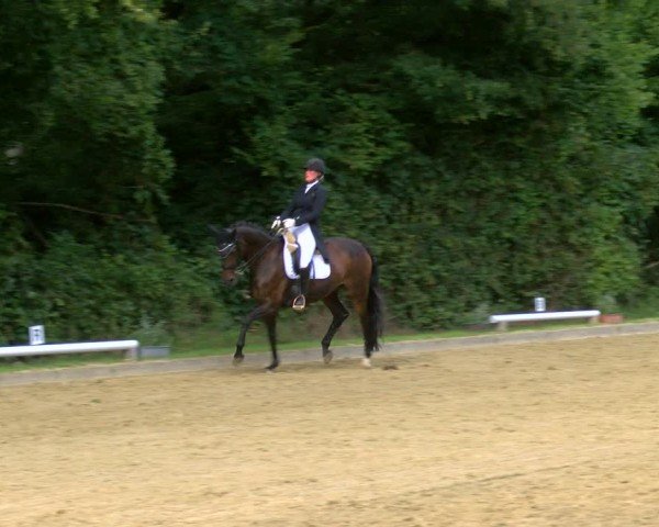 Reitturnier Dinslaken-Hiesfeld 2024