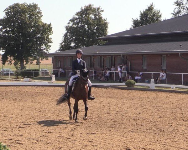 Reitturnier Münchehofe 2024