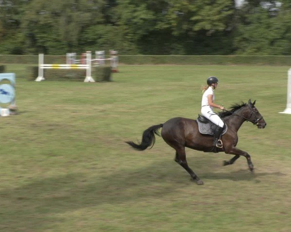 Reitturnier Westeregeln 2024