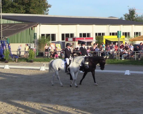 Reitturnier Dortmund-Barop 2024
