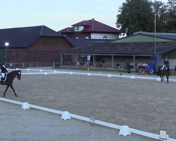 Reitturnier Dortmund-Barop 2024