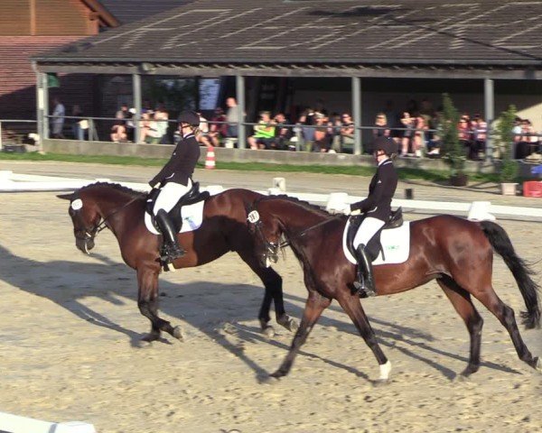 Reitturnier Dortmund-Barop 2024