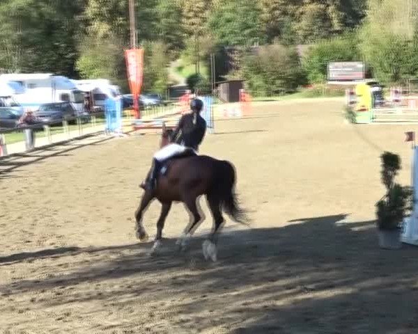Reitturnier Tillmitsch 2024