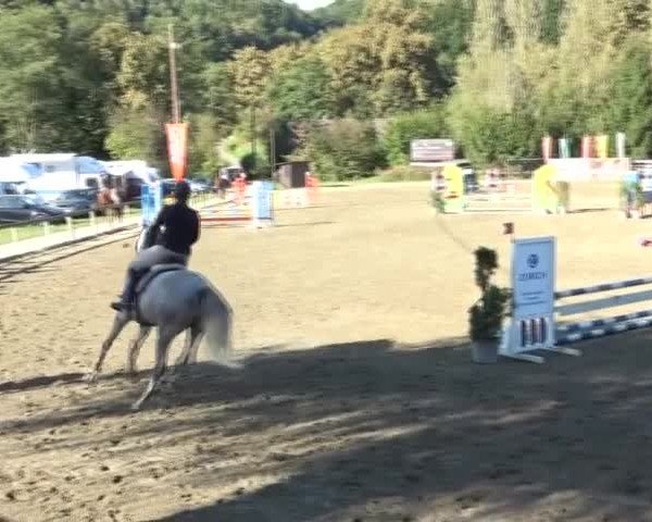 Reitturnier Tillmitsch 2024
