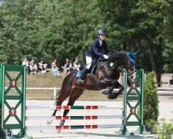 jumper Magic Eye 4 (German Sport Horse, 2015, from Monte Bellino)