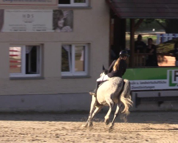 Reitturnier Lgl.-Oberhain, B95 2024