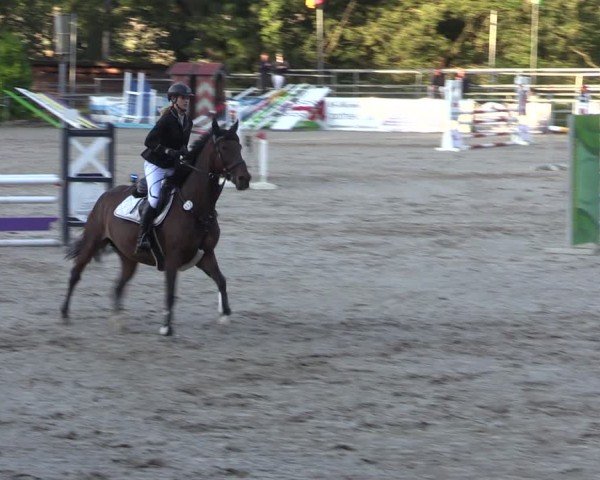 Reitturnier Lgl.-Oberhain, B95 2024