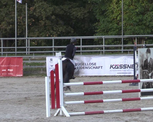 Reitturnier Lgl.-Oberhain, B95 2024