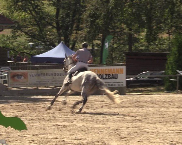 Reitturnier Lgl.-Oberhain, B95 2024