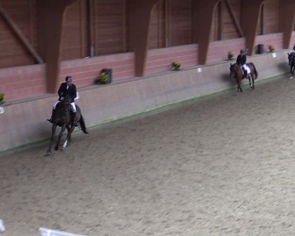 Reitturnier Dortmund-Barop 2024