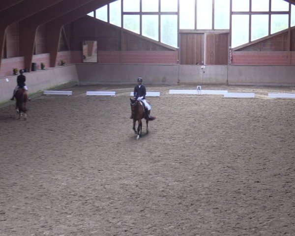 Reitturnier Dortmund-Barop 2024