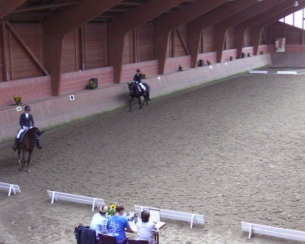 Reitturnier Dortmund-Barop 2024