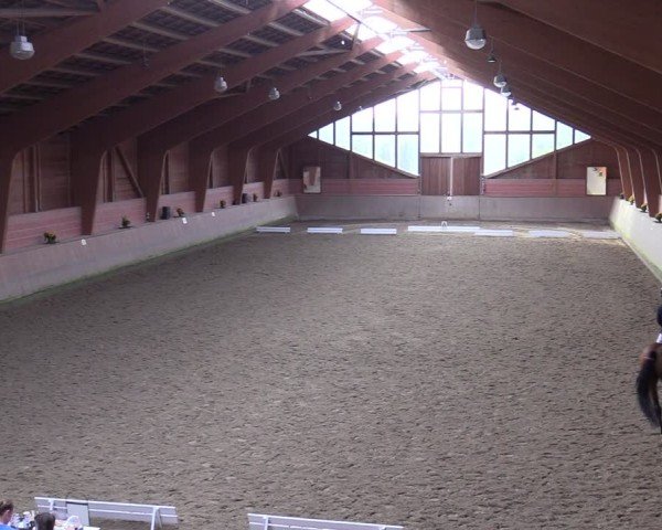 Reitturnier Dortmund-Barop 2024