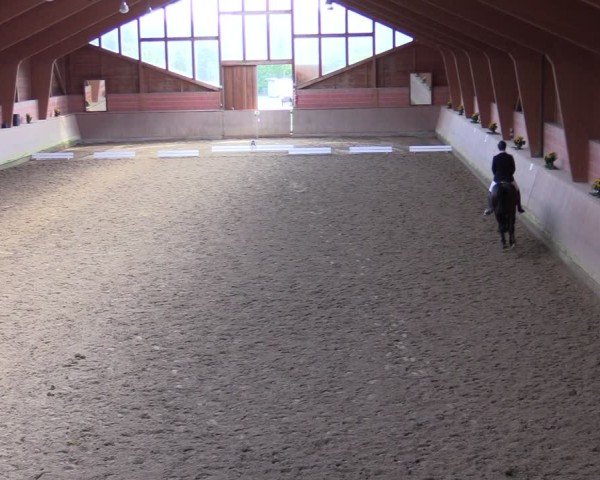 Reitturnier Dortmund-Barop 2024