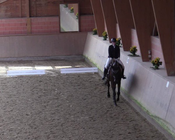 Reitturnier Dortmund-Barop 2024