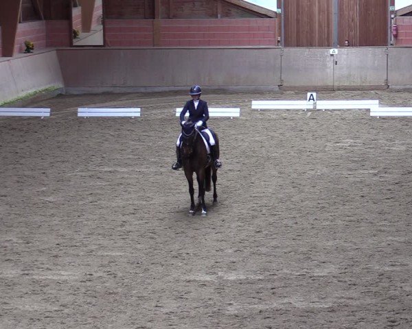 Reitturnier Dortmund-Barop 2024