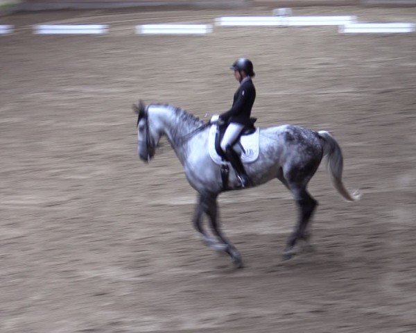 Reitturnier Dortmund-Barop 2024