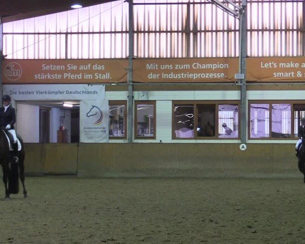 Reitturnier Appelhülsen 2024