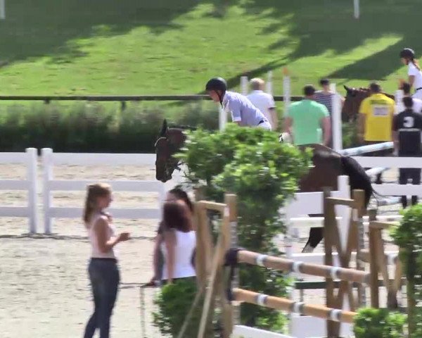 Landeschampionat Baden-Württemberg 2013