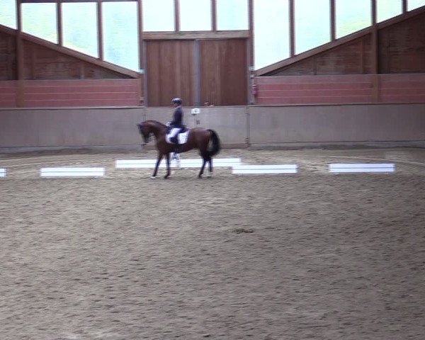 Reitturnier Dortmund-Barop 2024