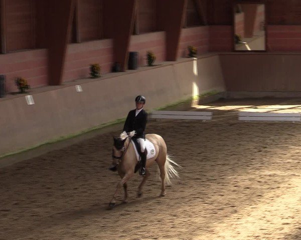 Reitturnier Dortmund-Barop 2024