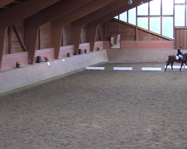 Reitturnier Dortmund-Barop 2024