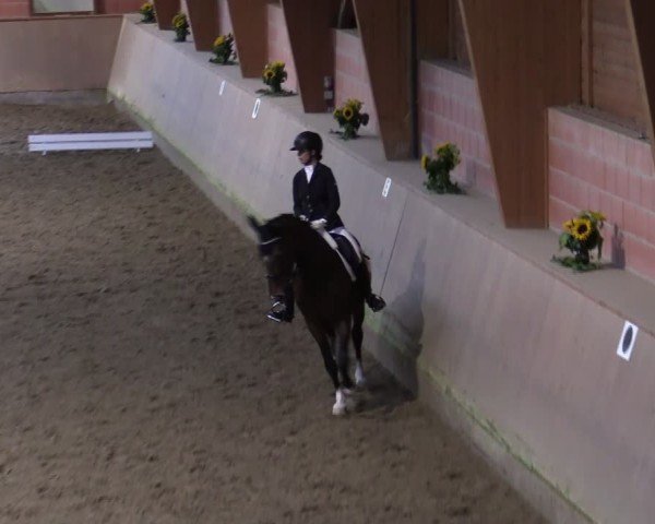 Reitturnier Dortmund-Barop 2024