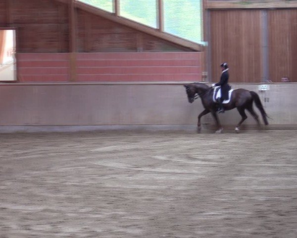 Reitturnier Dortmund-Barop 2024