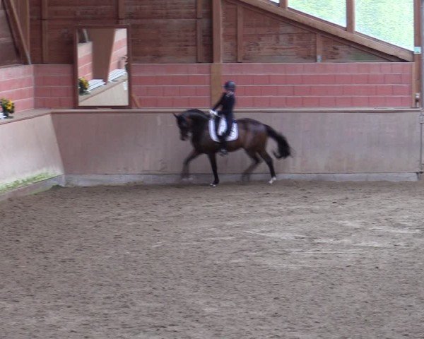 Reitturnier Dortmund-Barop 2024