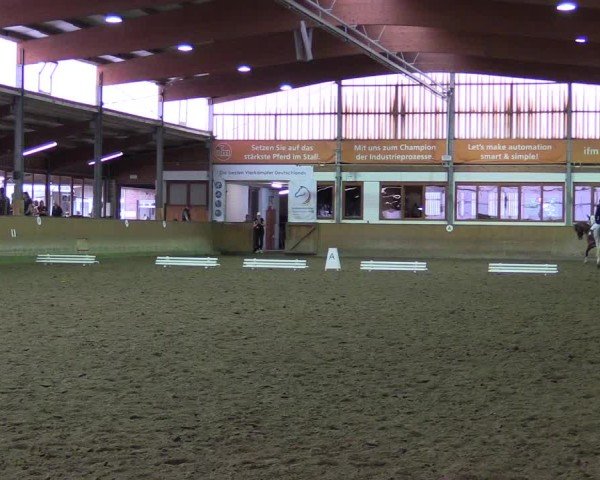 Reitturnier Appelhülsen 2024