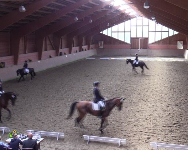 Reitturnier Dortmund-Barop 2024