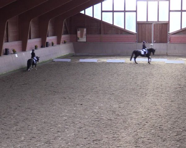 Reitturnier Dortmund-Barop 2024