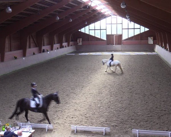 Reitturnier Dortmund-Barop 2024
