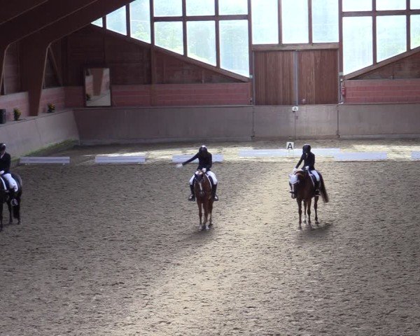 Reitturnier Dortmund-Barop 2024